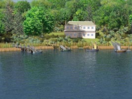 House near a forested area with multiple boats docked near a waterfront.